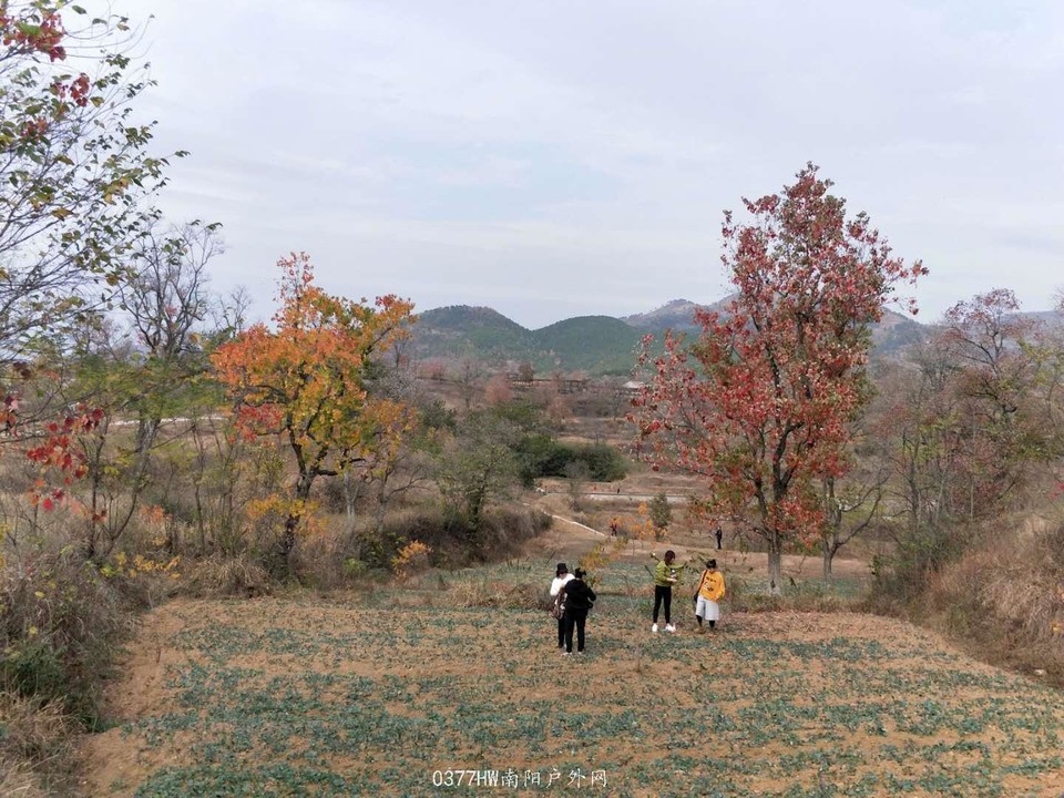 sNjDh0mnzDZbv3aObzuPG7jNoe0yDxZTpYlpbqD4a9q0yJQeQKMWkTm-02-j6H7Q