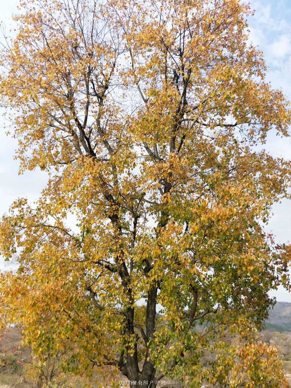 spBQQhDTPWMbDR_JT9VoqPTooUSQETQMGaXIF2DqYu9G1gGuAGLioIa87aqC8i4x