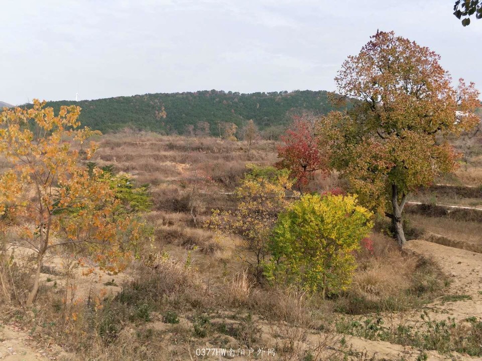 SRfyv9XoiVfsT2y236Eer6CcLC3IchRnK-G8HhAP8FHhfGCxrrK1Tv8FkluM0h8G