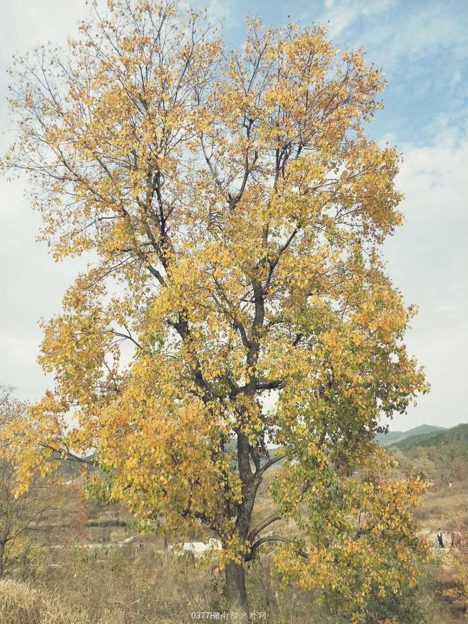 atzpgaZONXjFqLQJ2yPt2zCY_nkFZ567DsDAQNXDp4acc5nE5CTHwE9--4BG--Yg