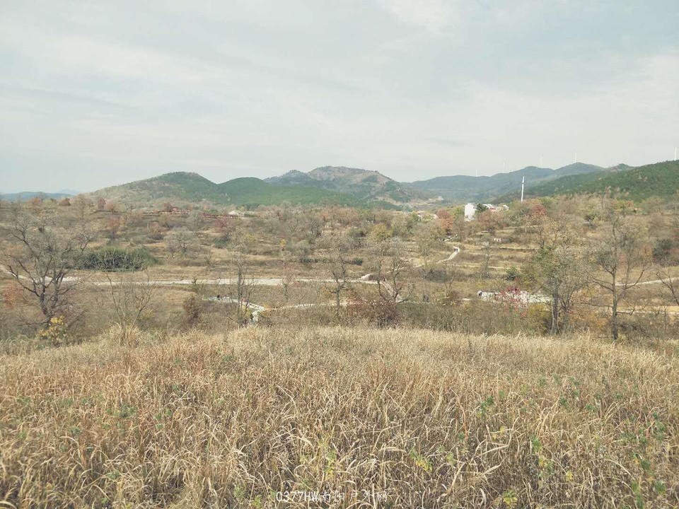 dARyfI7LTWgLlEfaHPcpbwxkiRekWB8l-_Tr1Mql5HvITZF-MumAXIuYy1u1psPI