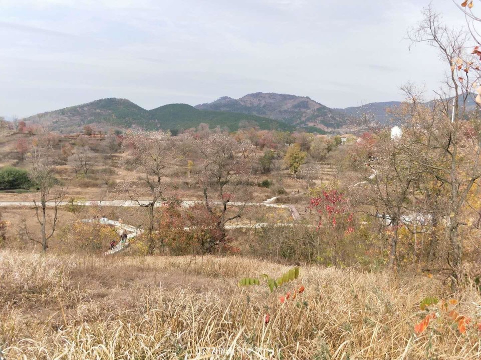 rfhd0usQd4reth11QTqNjt9FVVfduXqzIt2-8tC4LY97Zf3_LPFlrTwZ66DTxv0b