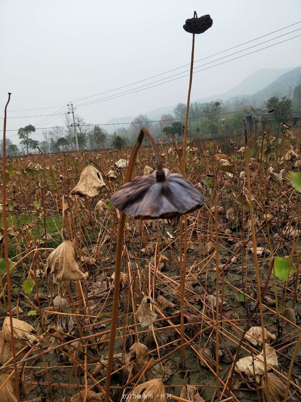 IZXv3Ma3Xj0GupsYlzgb3mwxVsVbYUXIc3iIPsSbMz4dmgIbEqU8J0kLwhxfAskR