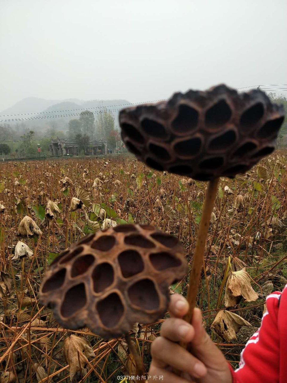 q8GJMIubrYOMb0j3OpDY6iIRpnOfcw0MNGO01aqyubRTIsSkGB54hGqSgTiKP4cq