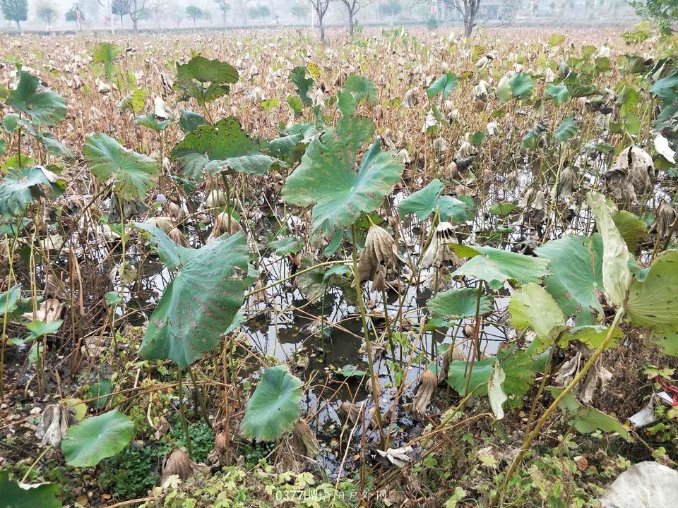 bsFkHSg1YKNiFj_fCk2gQsBxoPuNtrY4PeK156KXbTdlHXDskcwUQRGVfg3a_-oy