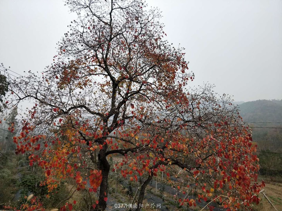 UDyJ7SykMQNDZHsBAXoU9dLHexD0J9ZVPWn8fqELa9kYCNxeIs8Og3MSQjFifWx1