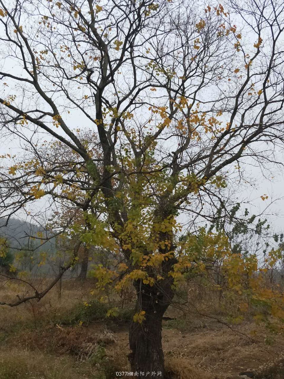 vbsfdgzaYAZWt32NJy71tdRnALYFmaoe1OGvbdDBZ-HTxjb6QDIKHfYey_1cIcCK