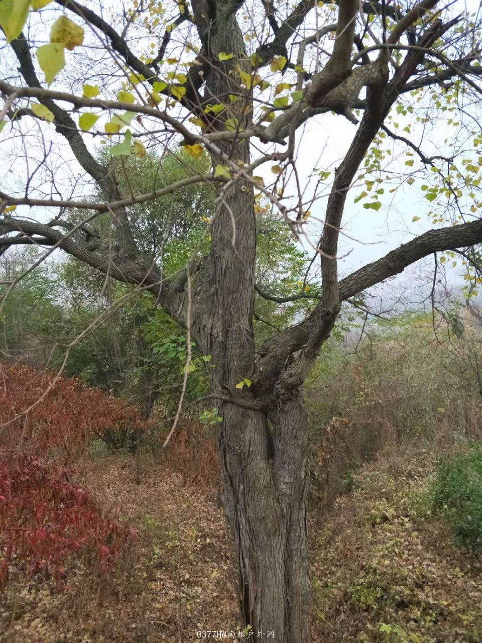 A6YnXGhyWvNiusBSBjBqftZPZJs3VZPityCqG9aFzBNBKOy1HA3uM3_KydU_MYK3