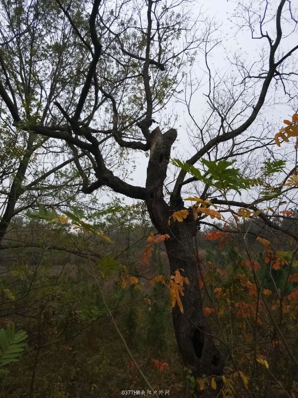 7ZUGpckU0ENTXVjaaT3zbokSRHRMnDWFwLgTfgFFtKDfGyzXG9aLRyaeuohXCt29