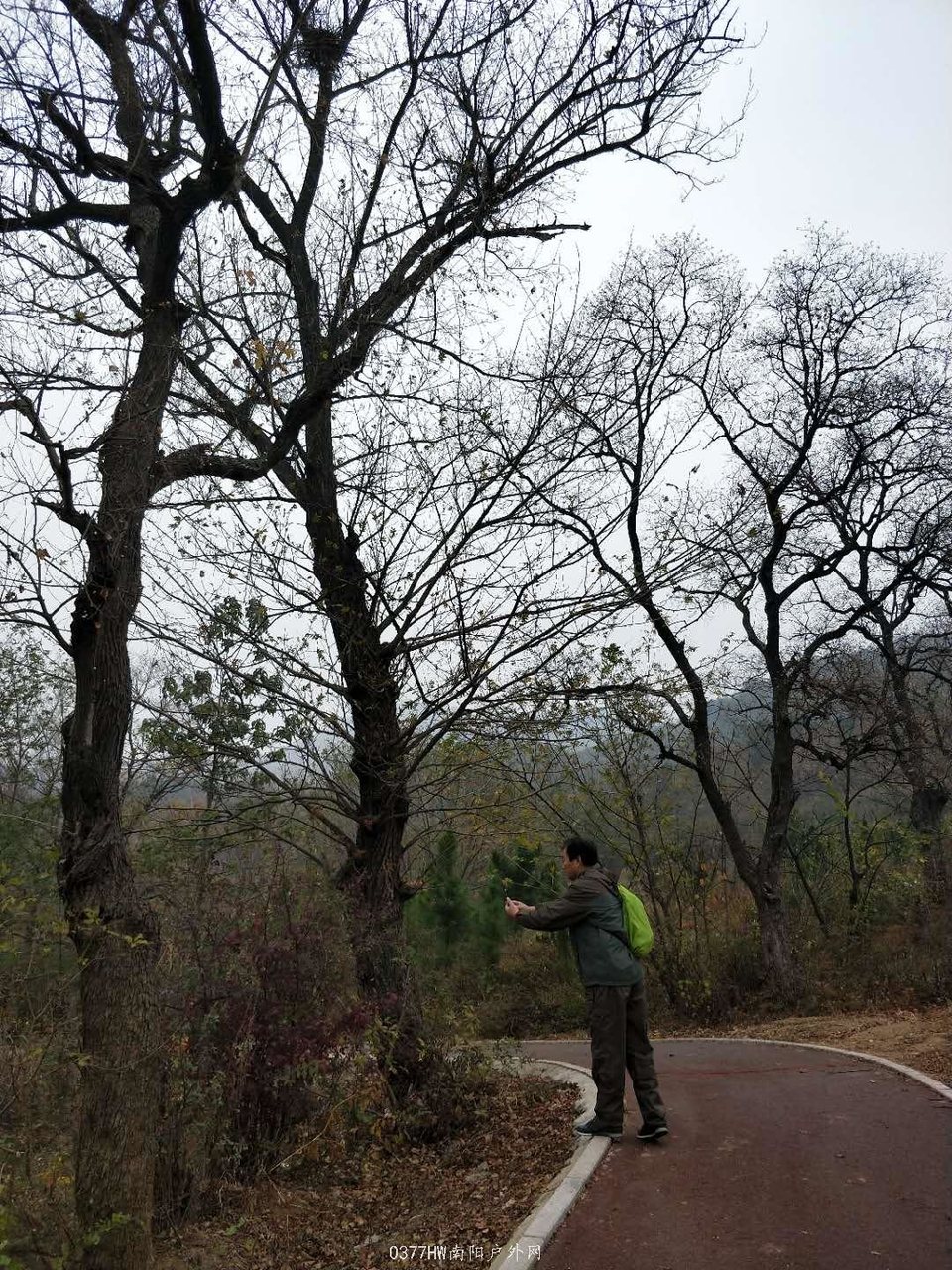 V2nTt5OXS1rml-YwHb-MyQucOWJQxL2bhbiev0PALZcGWXHoqKQAe3CqaQ1HyXdt