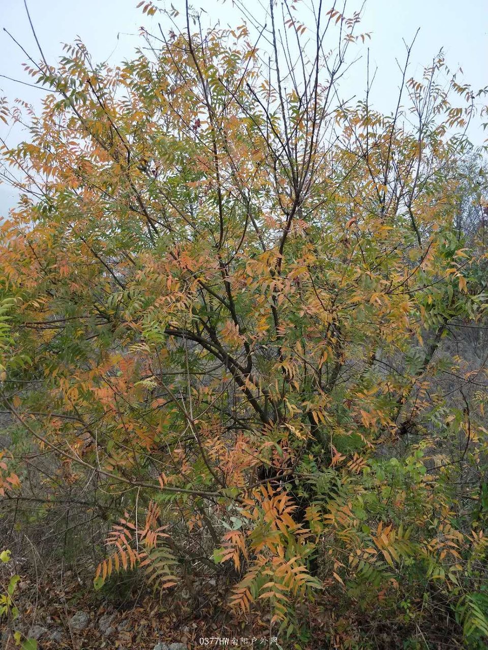 y78EeMEPIdCvqraeIEaCdEb-UXbu31q_Gt2UasD1O_st4CmcGsK9PMY3OatsMZIu