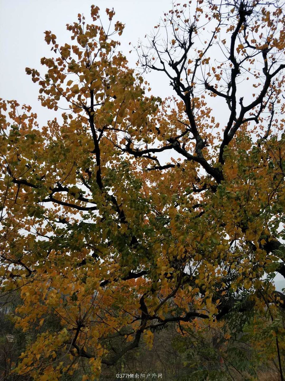 0sW-sbFL0UE5z7p0fV7Ijs-MyvY3Jf9WiOaAwDDznsvxRVI-K5_KCXlHF3AHotim