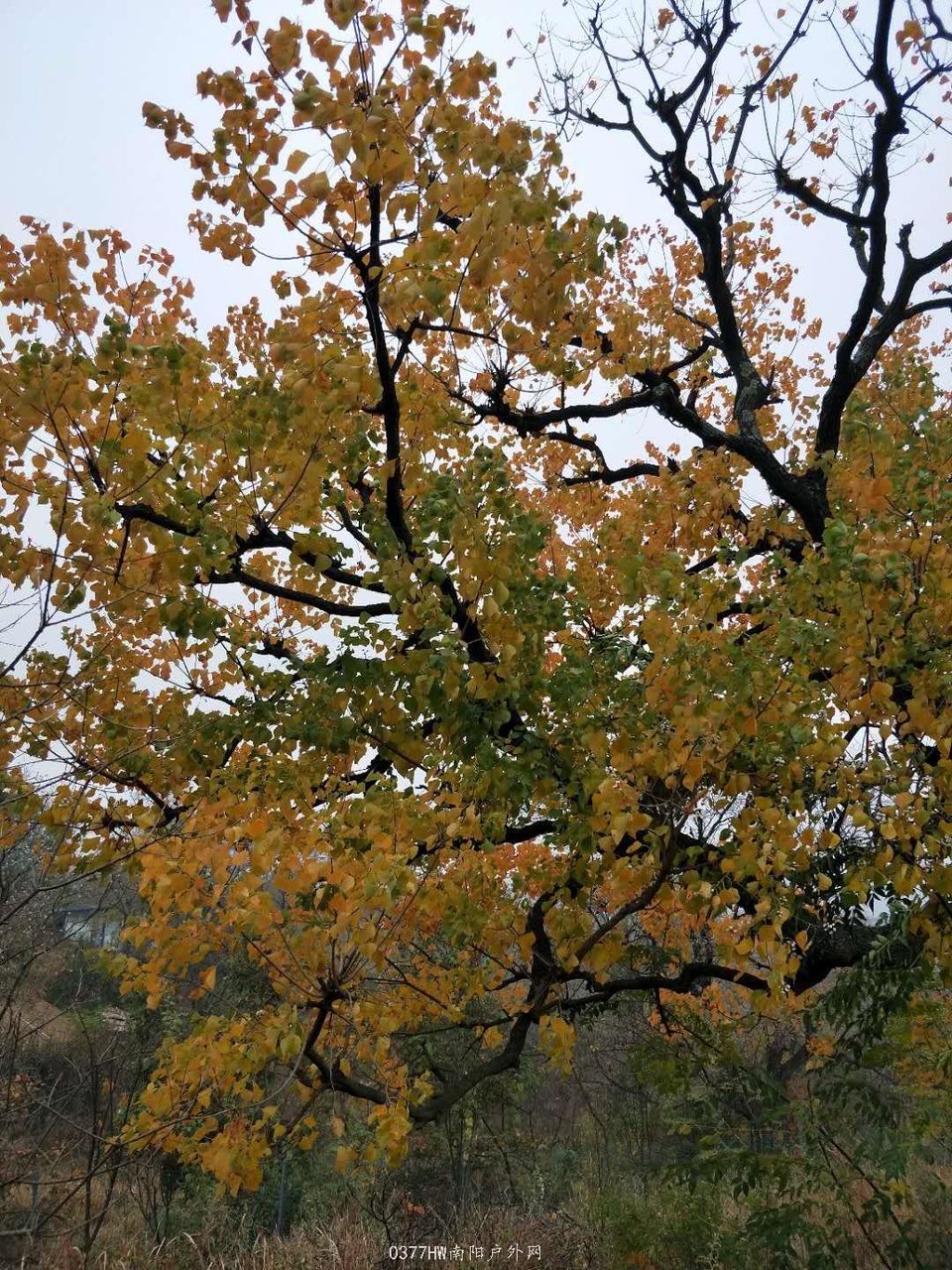 AsZGAXa6_Gx3oA4aUs02MSBljsQwAe0GKEL0NSJpN2v_Q-gk3uMaDqleAiefya8V