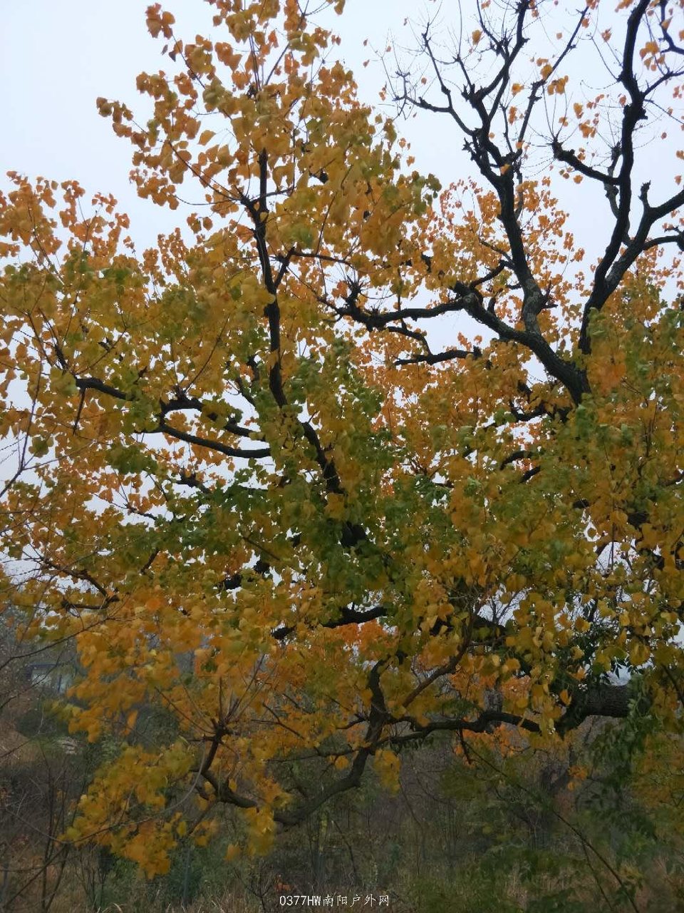 025UW6iDBpKTJmpkTjrk_cxxKRNL3ghTcItSkxC5aISu8e0vuo4iK0ush7iSiO42