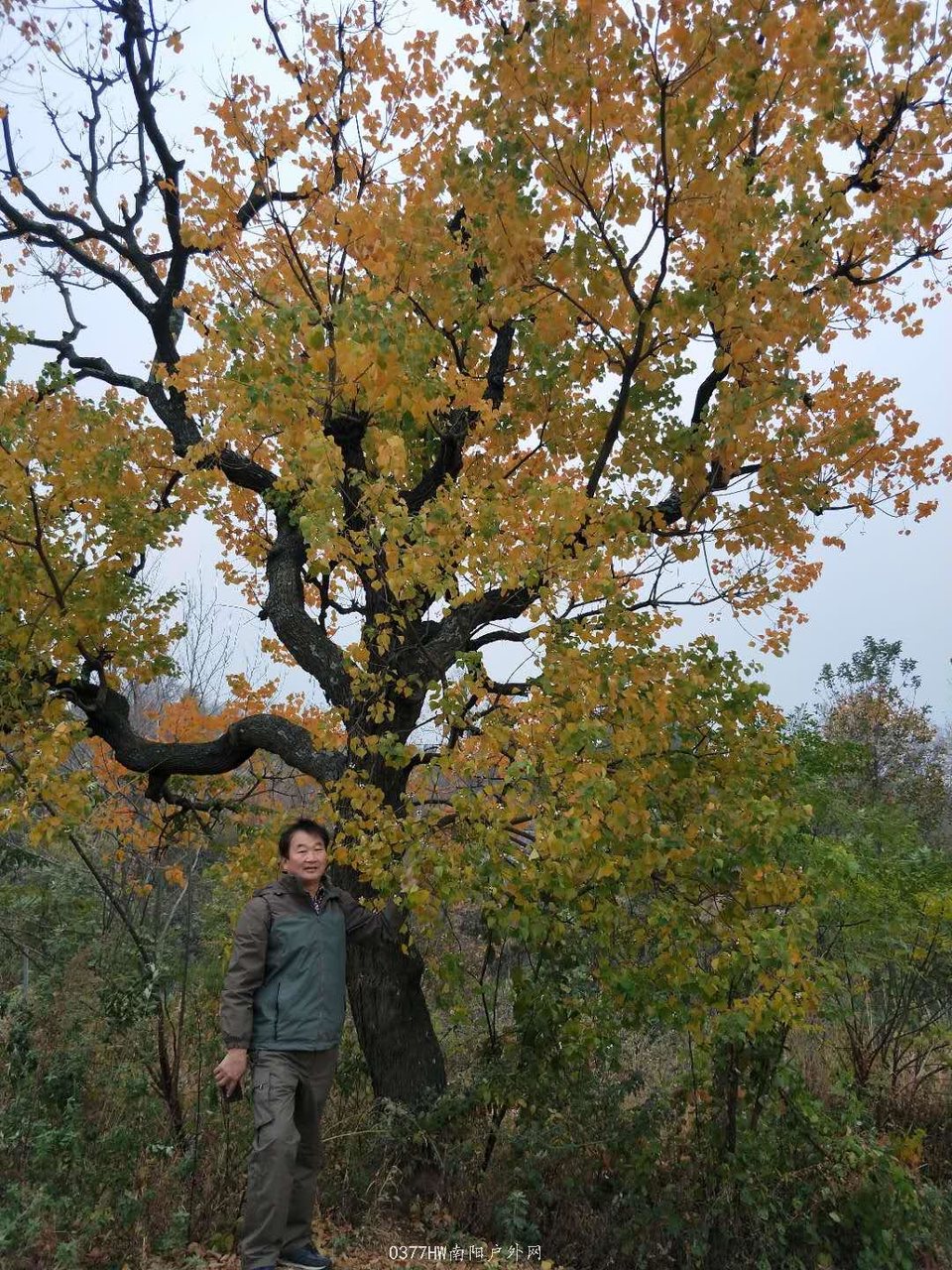 BDaaB8175m_bHRNwIaxRvnAsJVc79cxP8HFR3Rh64SAY2rOvtGG6FZI_RfEmJ-Uv