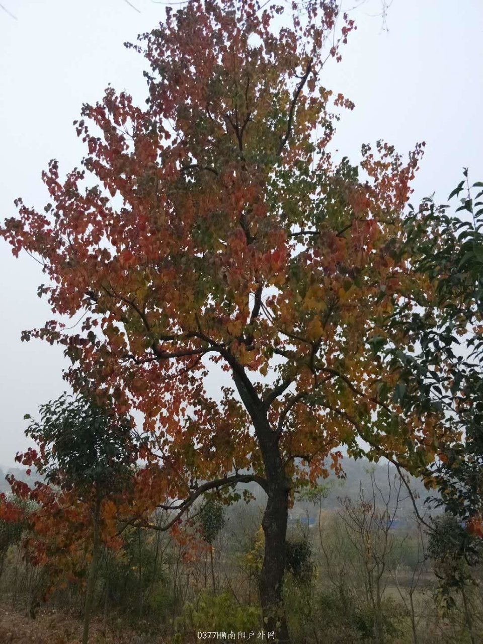 JiY-KWBW1eK-YOiauVYLVhp81dy1Z5mgYvSIx1LgOrxqWKjOuY8d5qZ0QNWymnVw