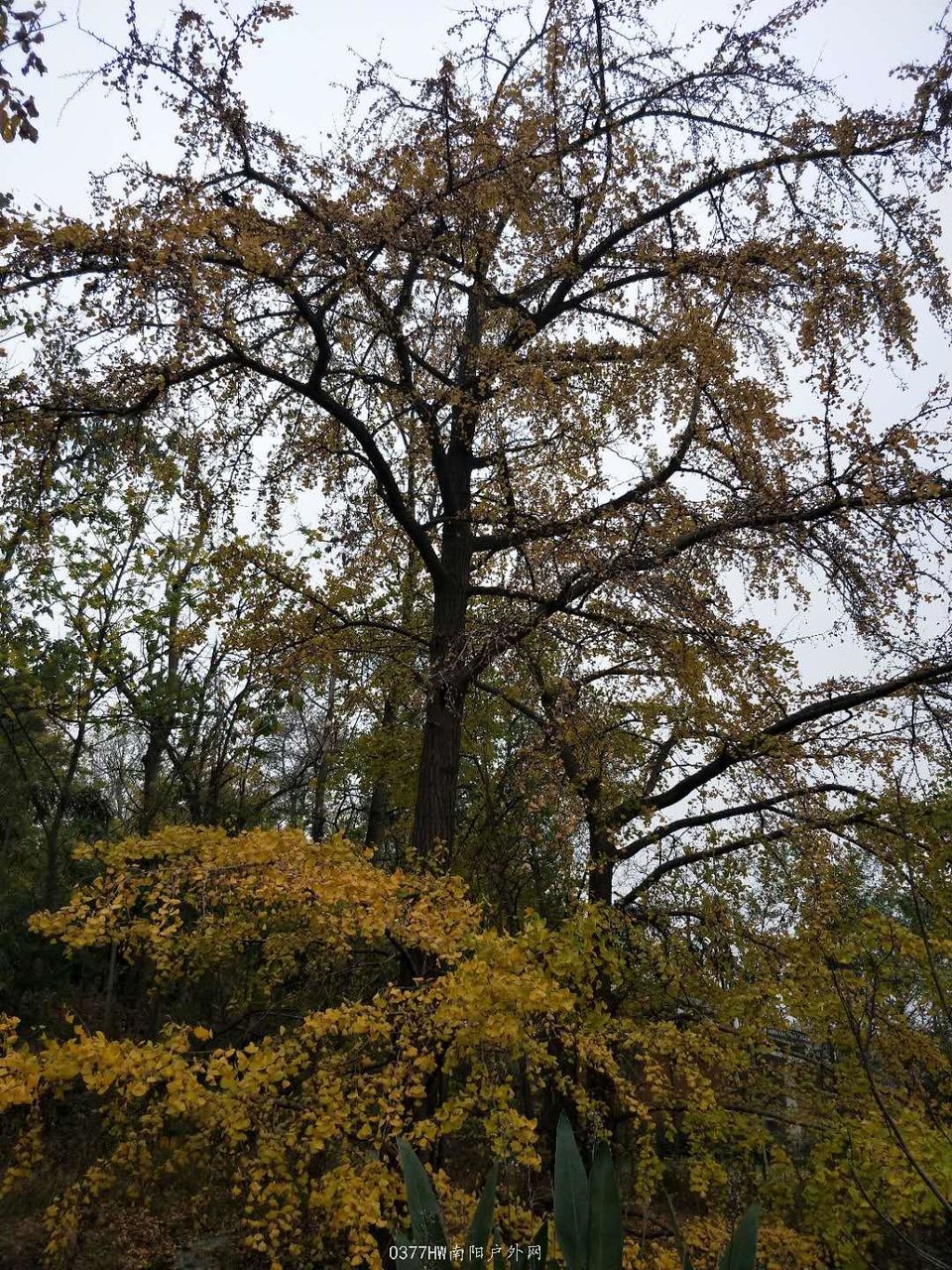 orT18HcVvOBVVx22nTN5mRQWGW04emMhfxqkcOn0C_Z-S5VKRxuPqBFXUhxwk8IH