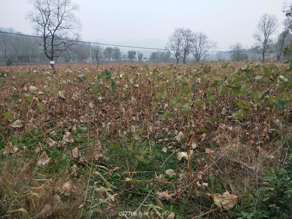 0dTP-zqjhPG1oALba2JnoBh8oMYjQSONu-W9-k5fnitwmynsQD7V1UvuvmdckIck