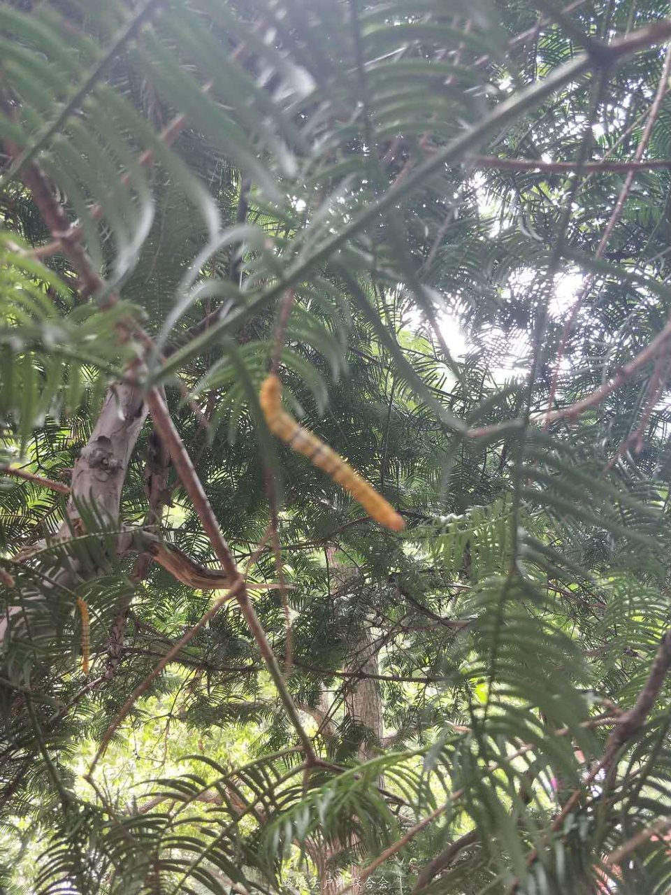 e1rIdKlRqBiuo8Ky51NQ6tIE3rXkgRi32wOZ_a3opWhXQIz-5Ubb4i9O19O3KBQp