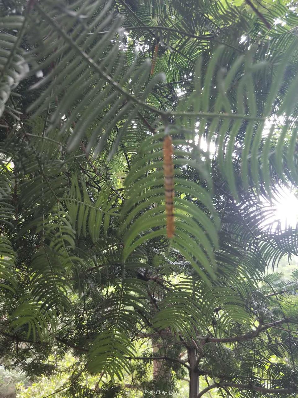 ze62l6yXzXcuoJFYIBETZC9d3Nvd-fZ6ER2Vm7f_QpwvdCC5nNngkssolQxA203C