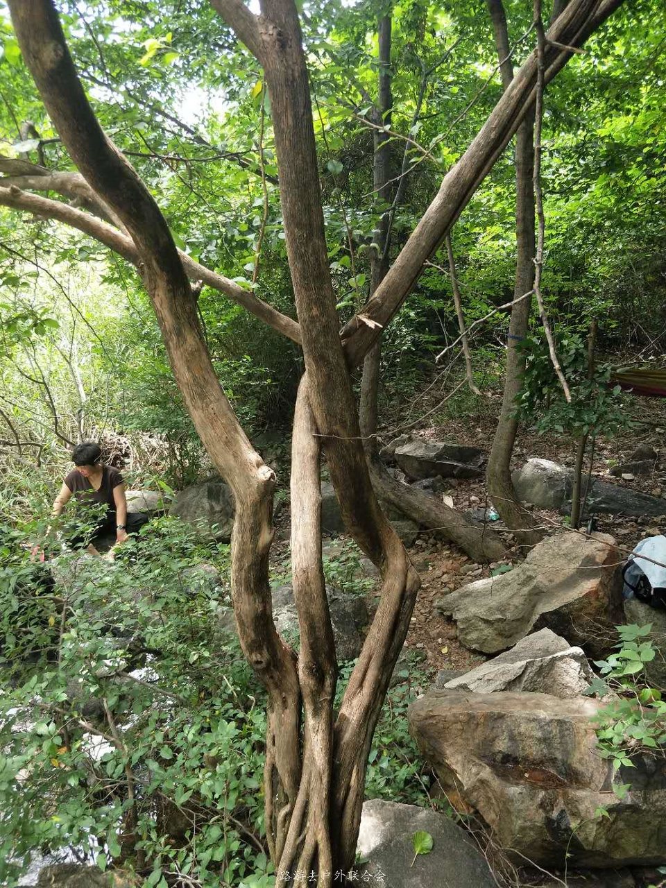 wbA8KND32dTYEX43Oa1IrzM7J0gFAPBV9ikfVewjDTb-mWJppNZ8jGFIp7ja9qJ2