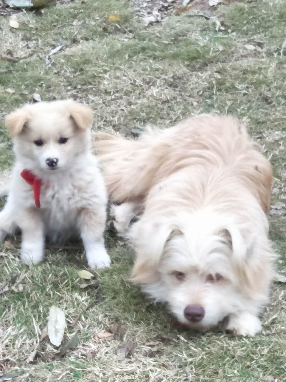 wujzsVs7QYnyeu0UvZIZAL-87NuCftjthtoYjook6fQYaKPeLInKByjhBFXKpoJq