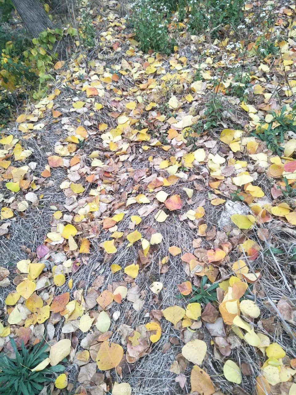 5Zi5BbNiT136mUHQJQAhpQ3xQtWXq4MQddThZaoTMpLUZCDhCYt5nYLNE1Qq2jiK