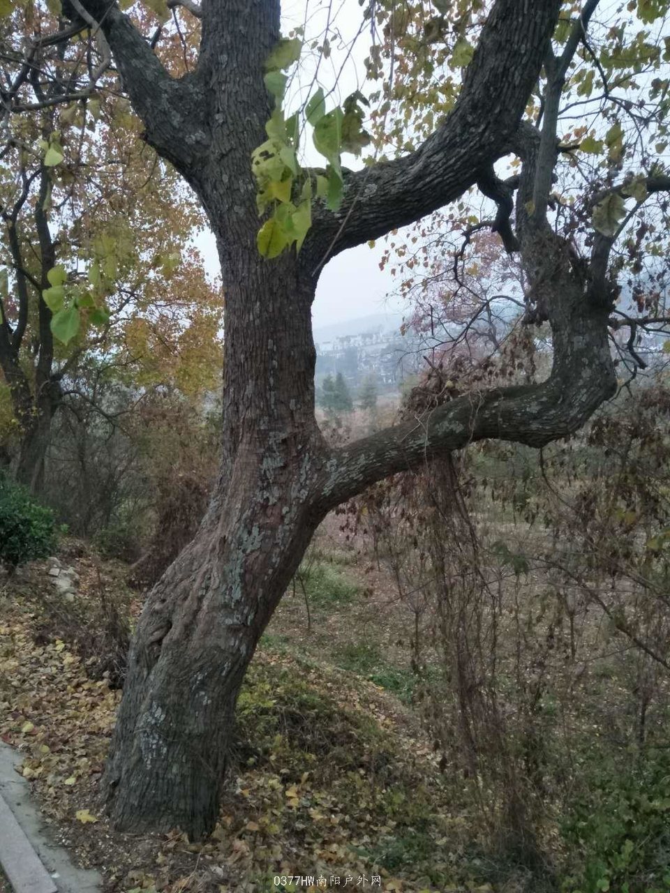 EOApffXhUXqD3wALWjjhyW8_ppF0lMv7Dd3pP-mdSY5xg28katTVG-Q4dU4oJb-t