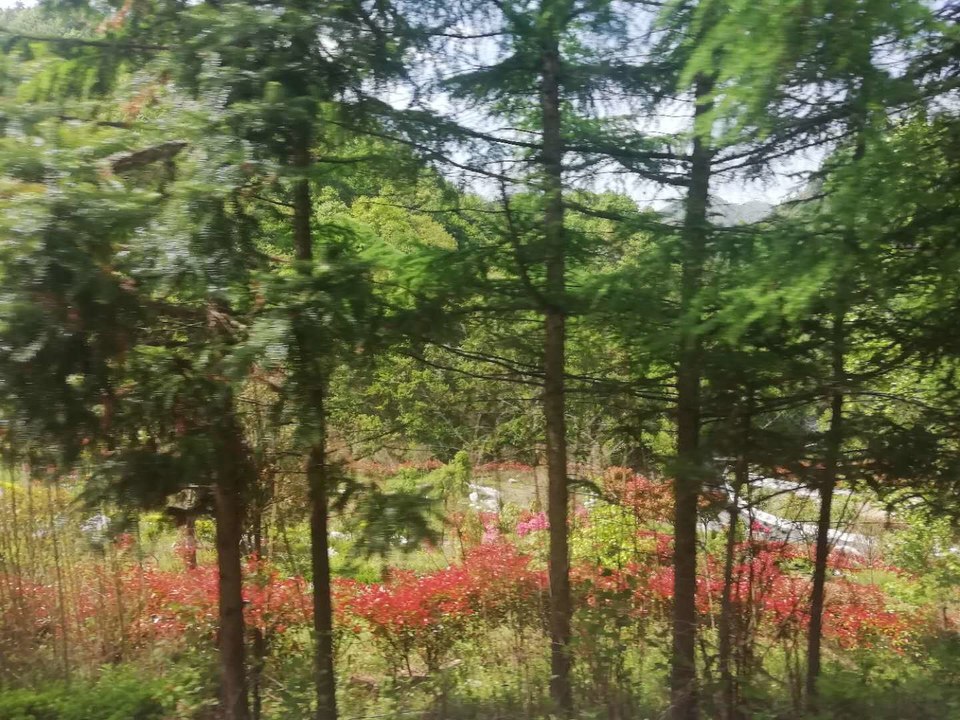 UNLxg-e-_rsSRdlrWCQXDplB1JhfYiQ3DsnC3yrI292eaSYqAvkfkUTXdK1VJlbp