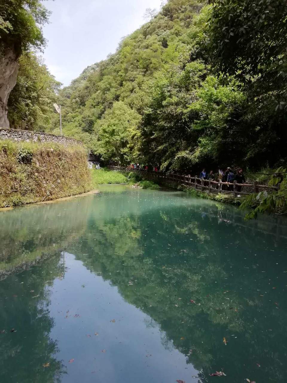 yo30pupMFdwrAwcrBr28bYLHxwYrKd8e9ecGnD0vXqumhexNrinoz50Wvt1pMG4s