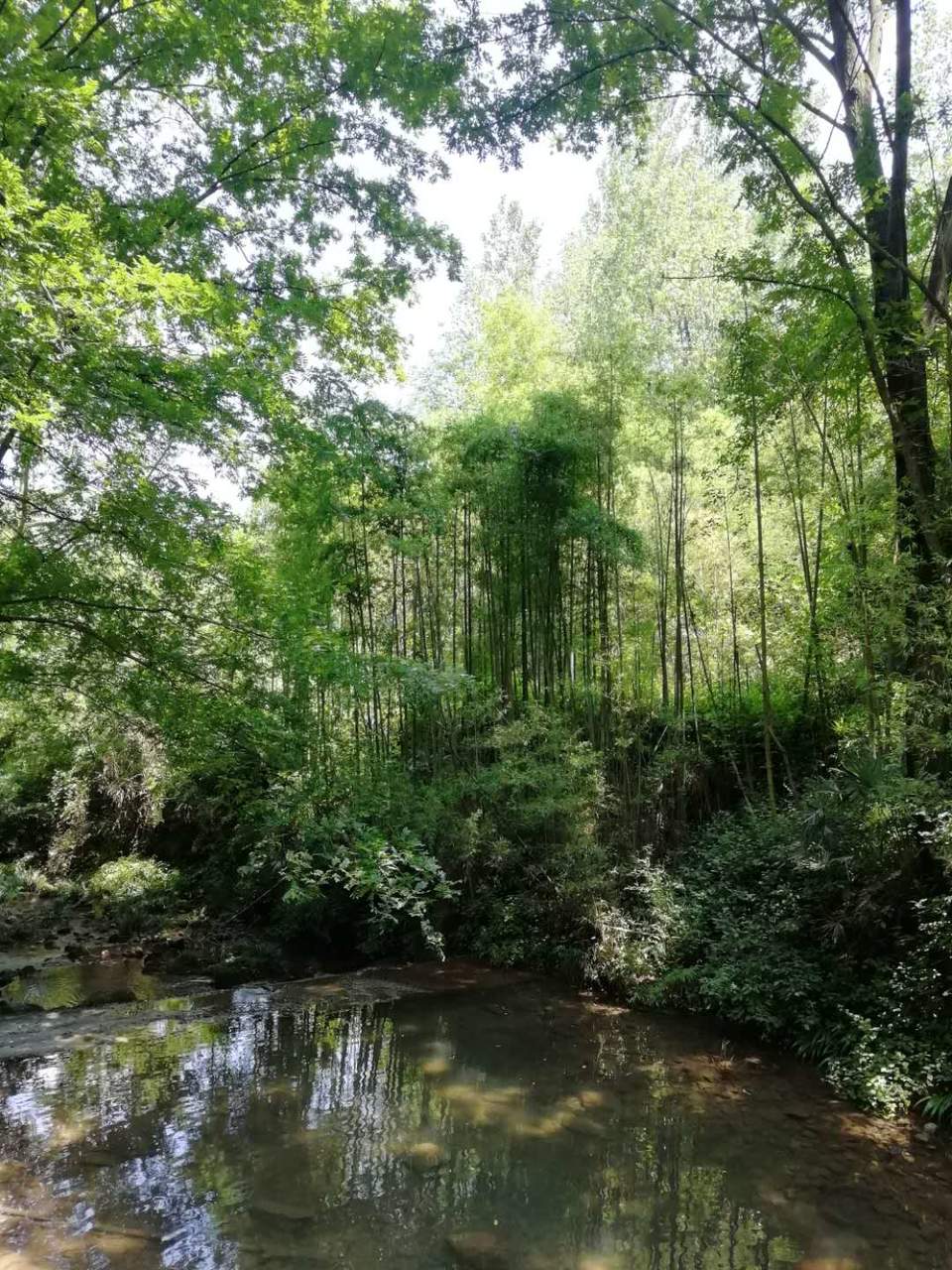 1QJlr1fa_FJmJWvwhbXjdIeVz6fWkBA3Gnb966SV9gDBD3m2HhKXTR5X3QDIaUol