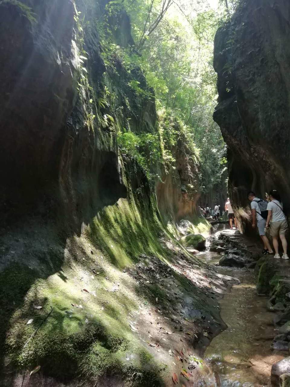 ptt1VhNFt_PiH9e5byees8S-TBkThPQC-o1ZhFcj-c-kmk2f3UBefAgHN0GFXjHh