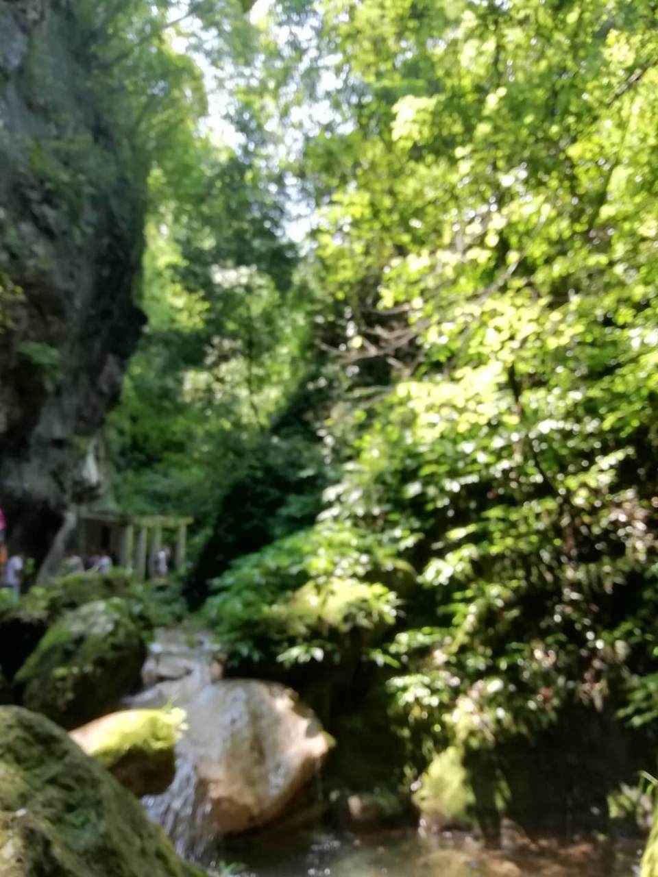 NrZTUYLdMIXgAFjrdNvyOr9SfDDccxf1mK2opI7uXAKEt0VWplt9mgFEXge9Wfg2