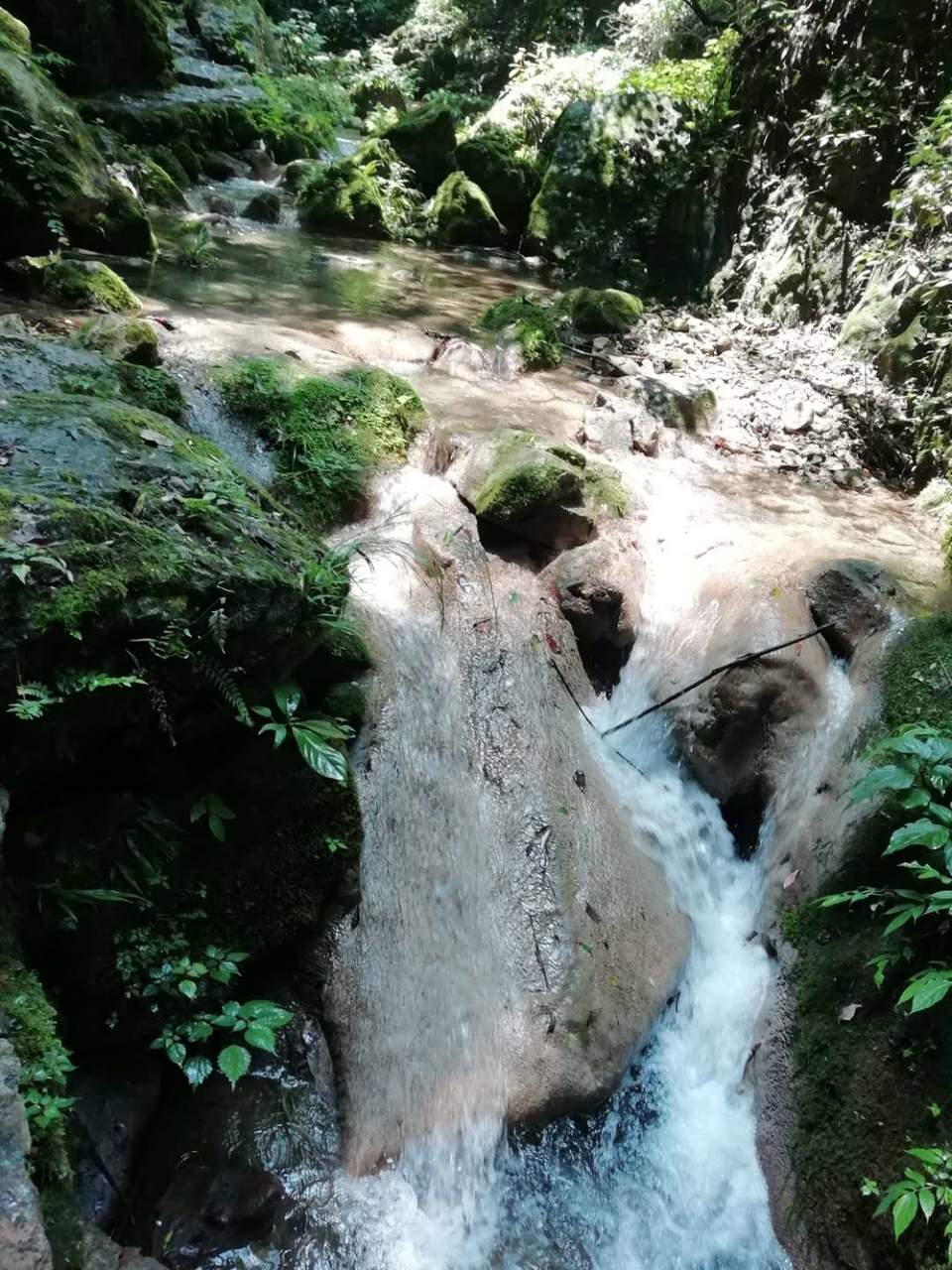 BWwsB4D_8ZPR8jHZ3NYNSTQ0chVL0b8n80Yp6ksGJA4v5daFdJA21IQmxNlRZODu