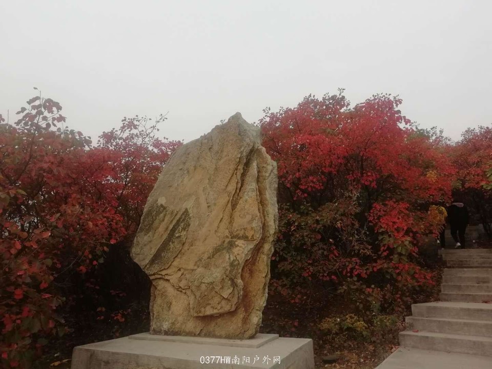 imhxC1ywiOkWK8-hLL93lneQtGgIqHmra_wfqe48aE3-Hy2iFZqbrcb_vJ2jvNpS