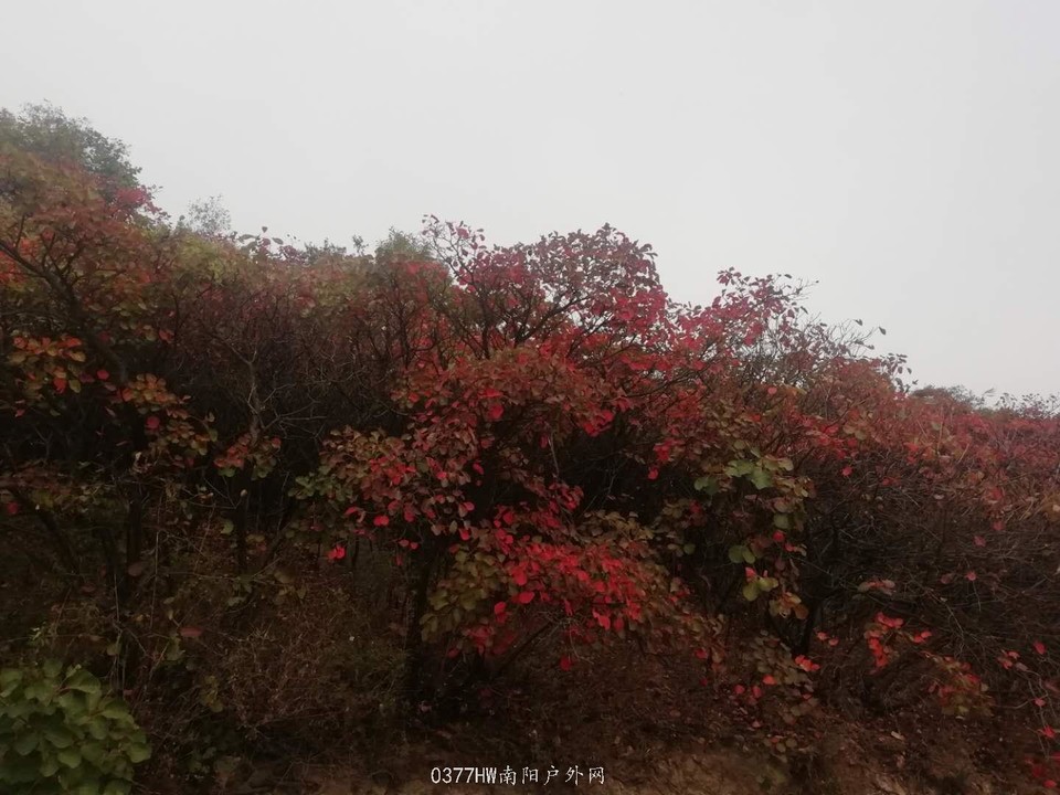 4icLRGTd9ru97JXVneAR4xJo41CxcAI8sWiDD14orOyfjaAETg_dP1kV5stdRhQk