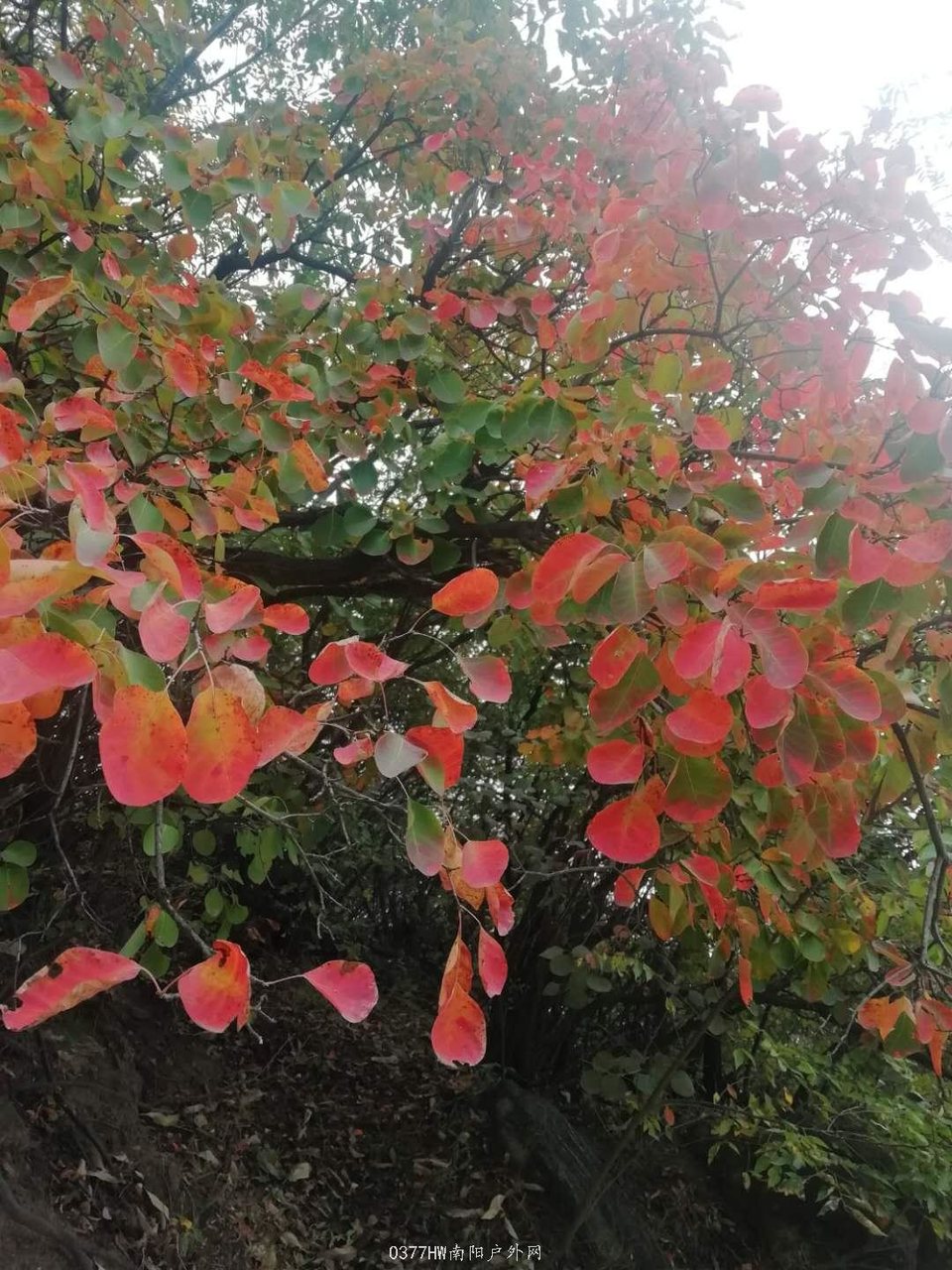 Ql4AYUjnY__BZ7CiBGy2aitwOe0GPLVLc_2pgY_2ZLmOCsShPrG8pyFda4CJsE6k