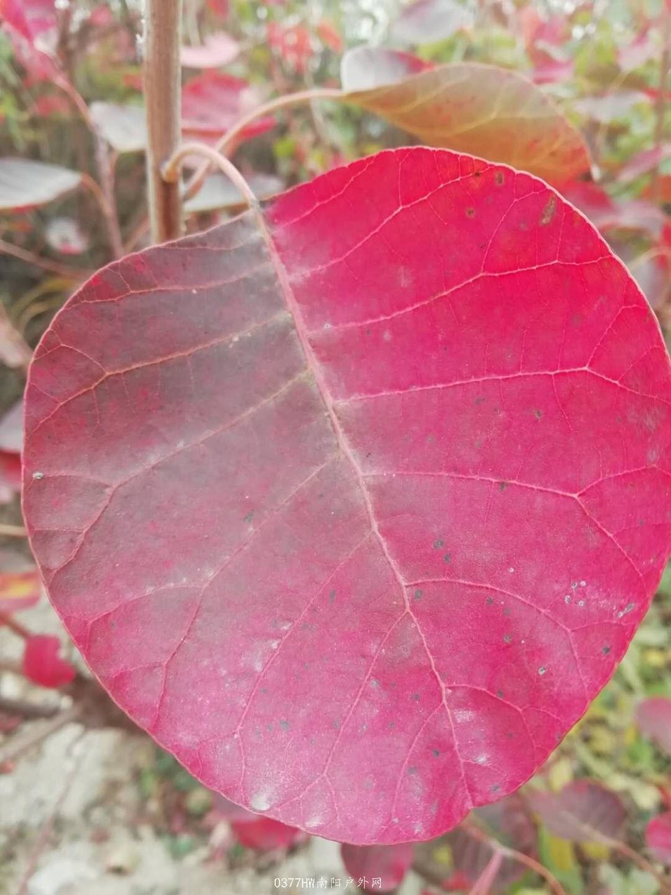 CVJxjy2uocLjaNLY5M1YOjjHp3Ep7fqXRkUicKHeiJ7iaZYo8exYeJ4aDQyBrjo5