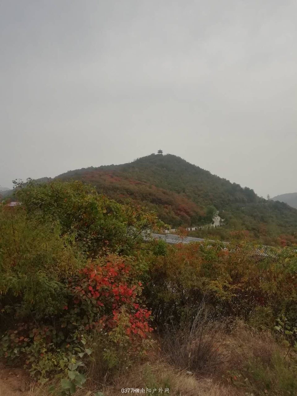 yPVXzIehAvv883l9IKolp_E4ysOWmERBdyiyMNSRBkU7su6Ou2rf42SRjIuyTRc-