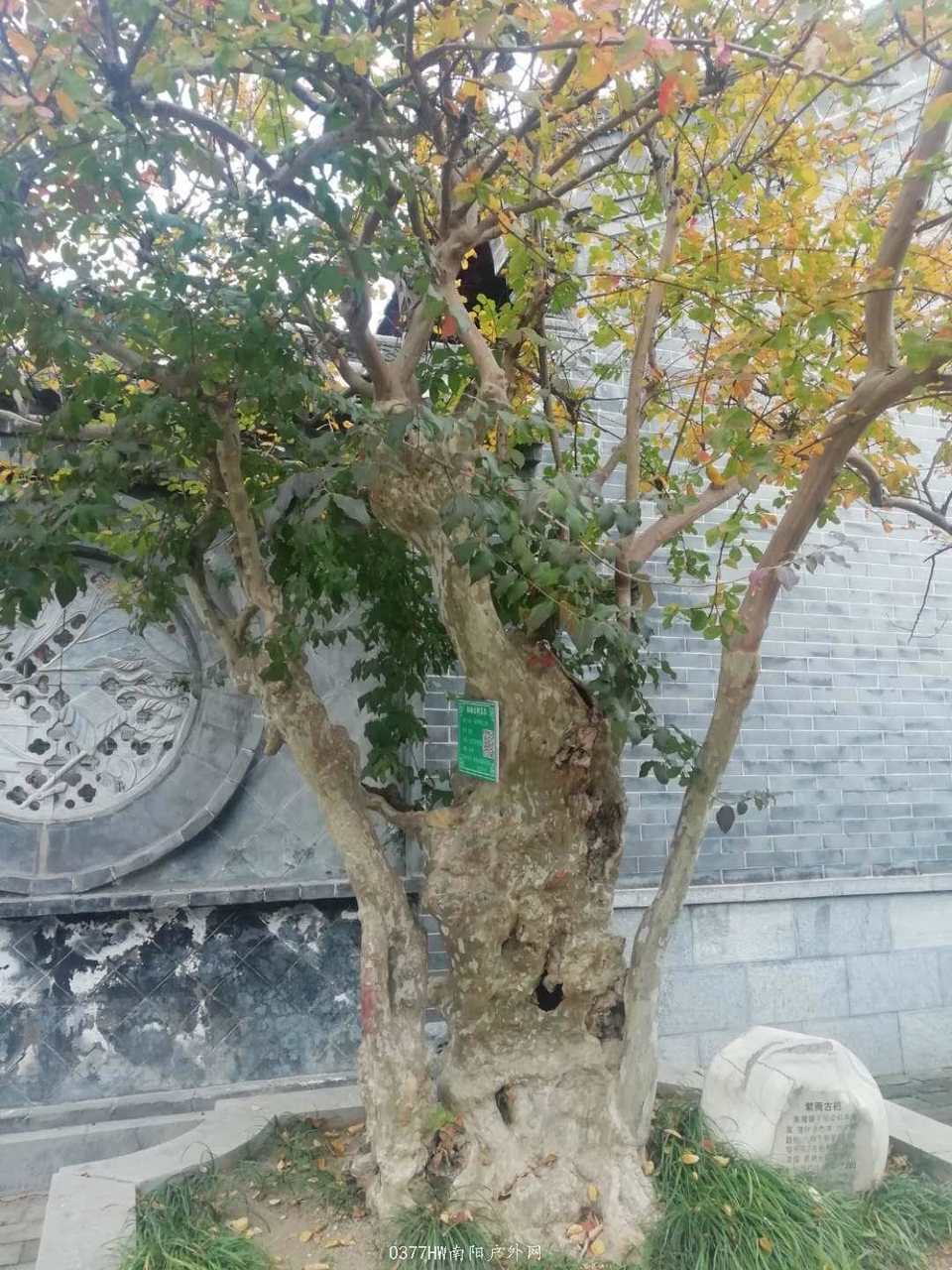 KEU5nMHZzl295zTHcNTJEy570tFM5pn82V79FBKtOYk8bqe5RRkwFXrBhw5pvyTO