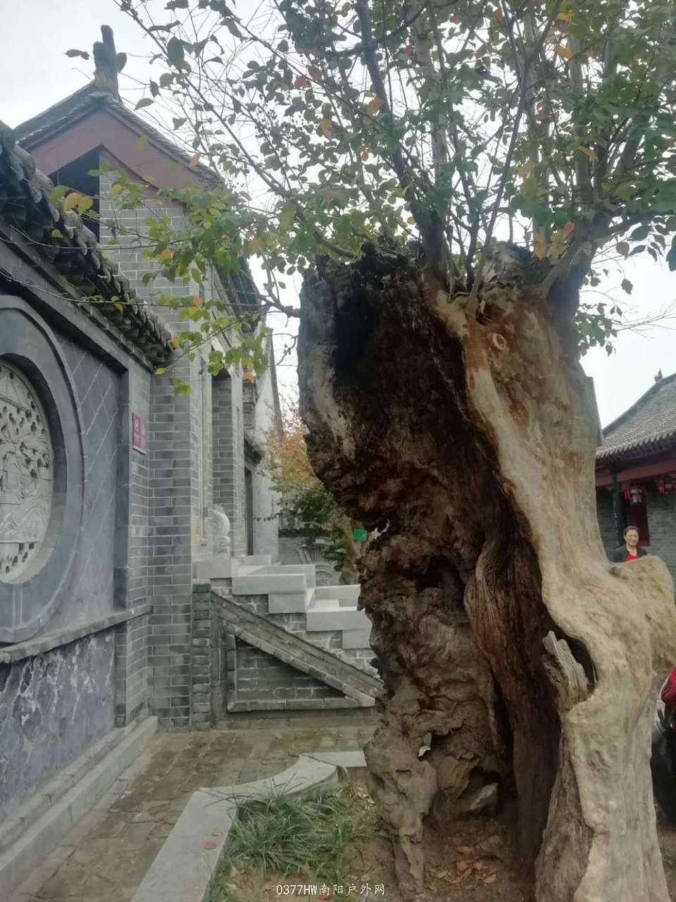 K1tYLYli7uqXHFOdVAGMM1Gz8limCSE34QuZfjZO-rFvuh_jLxB_sKN8gcb-esVW