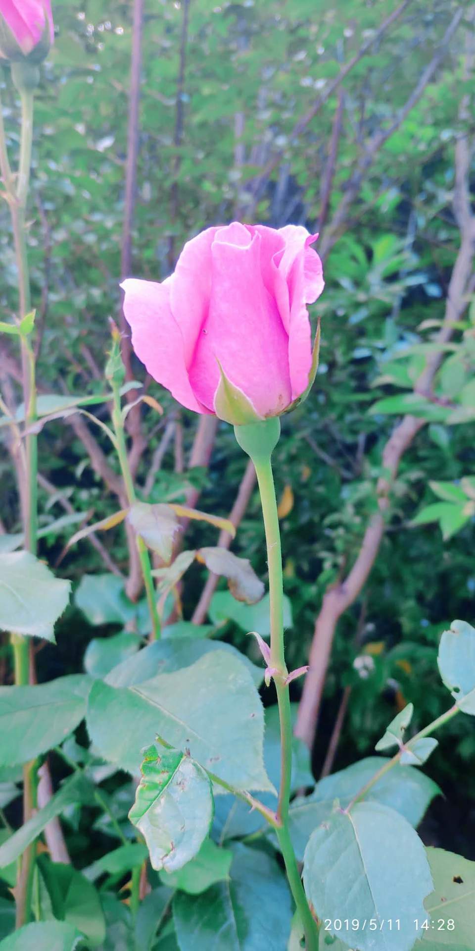 SSJXuXgAbL_9FTiLm5_lWLLsU-i8uLo1jAW2oplmL2aAhQ-clyCWu3XDSUAeR1_G