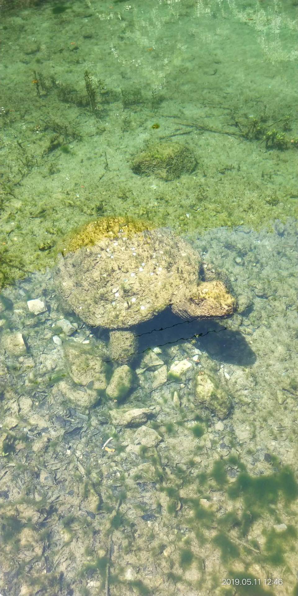 hali7NLIiL1cfX9YZbI1PQJ7s3X8uxHXqWx1yoMyYNiiL7N3GXXpHt2Uu9jgu5La