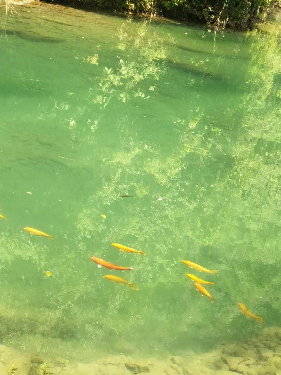 OBbIvFFctkCzN7f5nfDU1q4S1uLE9ET9vQjCGVcE_pBaqqto24AeEvcV0b1Ef04H