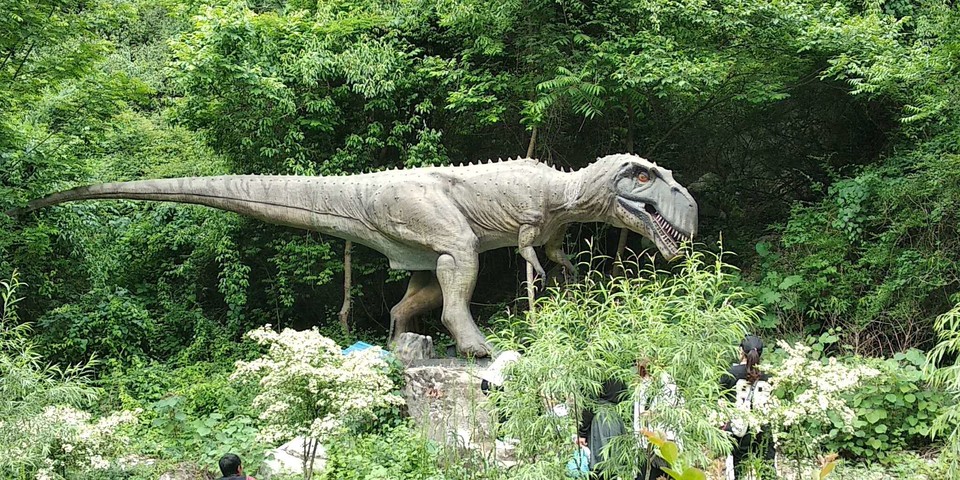 6PW5zsCinHFoOyLA5Om_Z18g7WuxHfI9xDiZzNaV08JjiB9zE9qXFIIHh71LZlPw