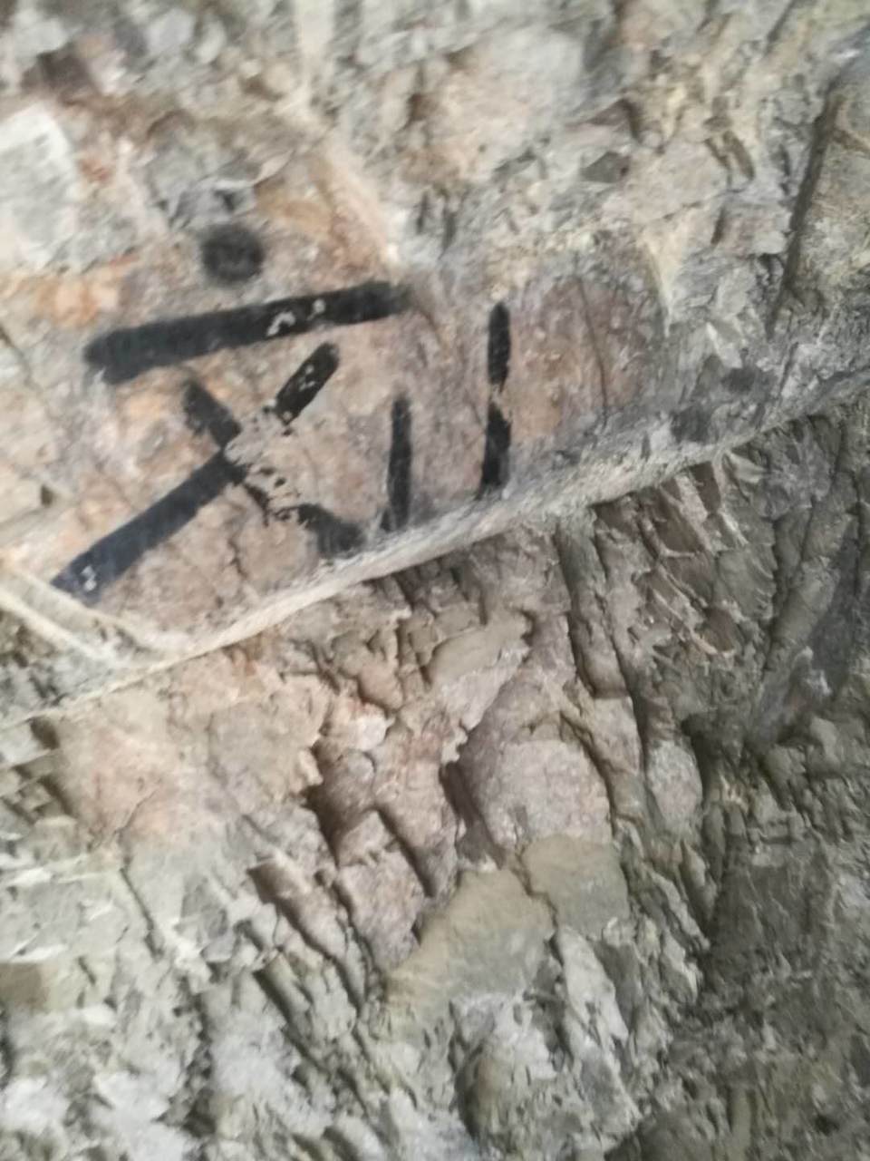 oC0XzPAgS2YEhvUHtgZGOZLrByCStssO3FvSteA6pXFPDfbK8-vPZiLq3q2QdJry