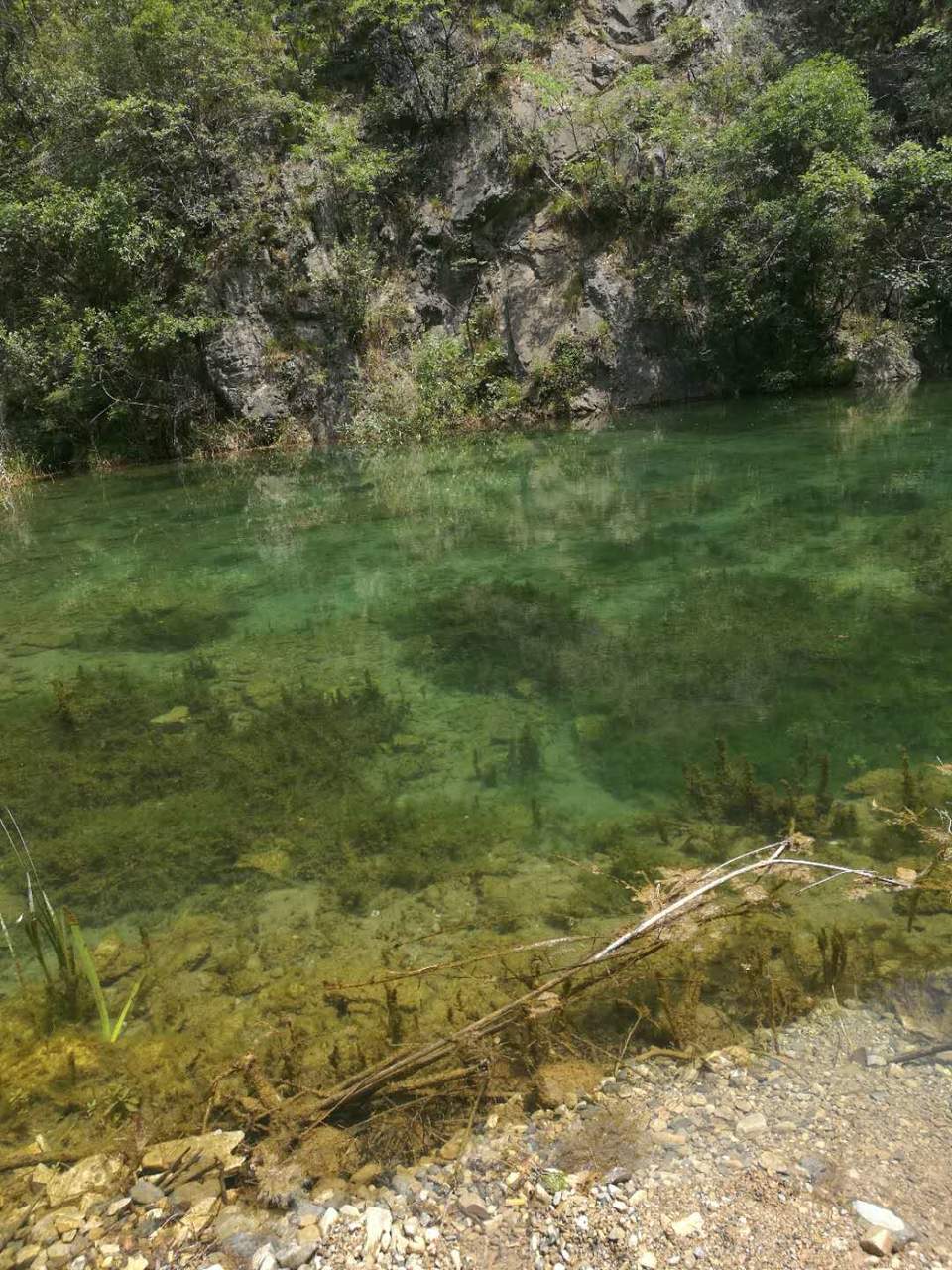 Zi031dDzUbCaUY2O9ymhWzf8QL8BufN8q5A2oac7gQZTOZDlIBsO2lr8i1F0MVQz