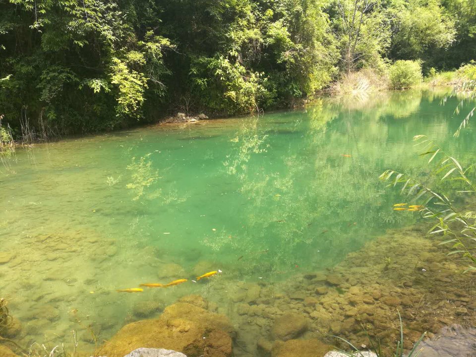 _HYLtE42eMFFFISHkEZlQ0cpxJInfDOChZJwog5fh7SzqnLOixuZDiTKJkvZMbU_