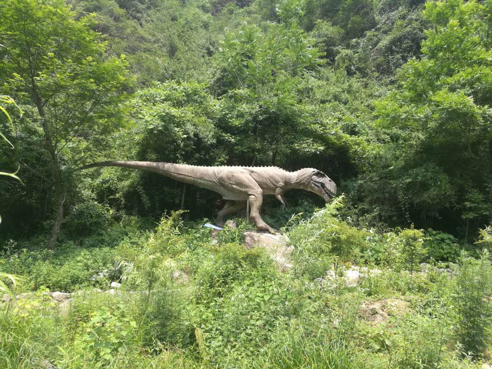 skitaSTwTtOCZl-TzTozck-mg-lvs2FBPMteRw36TnZ5q319tgblEuqm7KM9Sbv-