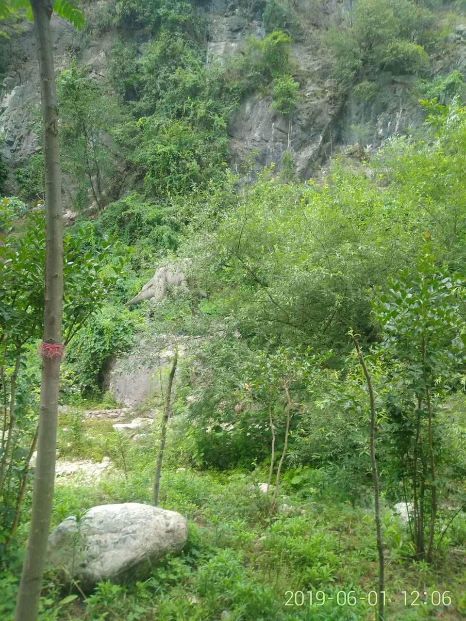 CUPPqhQWMrWXhF195vjTh7t5-wOIUtOyQsan9yaWHNiDLzpbFIpcPgtlo-6kpaSG